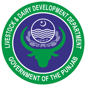 Livestock & Dairy Development Department Tenders