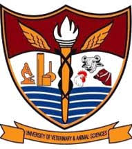 University Of Veterinary & Animal Sciences Tenders